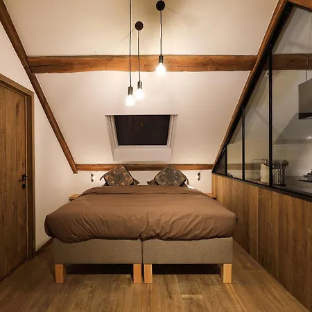 Couleur Basilic 4* 罗什福尔